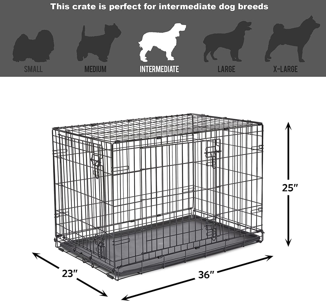 36 double door dog crate best sale